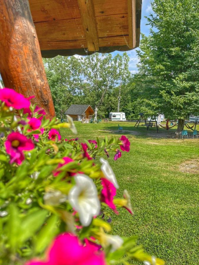 Camping Dragoske Hotel Ciofrîngeni Kültér fotó