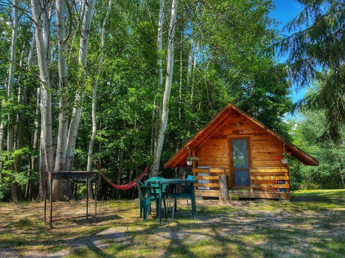 Camping Dragoske Hotel Ciofrîngeni Kültér fotó