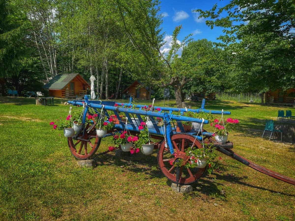 Camping Dragoske Hotel Ciofrîngeni Kültér fotó